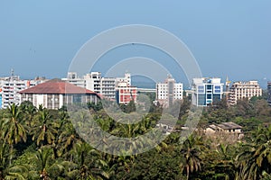 Skyline of the city of Panaji with modern high rises above green palm trees
