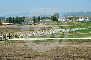 Panmunjom, North Korea. Border defensive line. 38 parallel