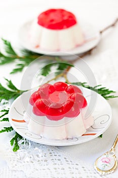 Panna cotta with fruit jelly photo