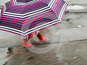 Panned image with a little girl walking in the rain with a big colored umbrella and red rubber boots photo