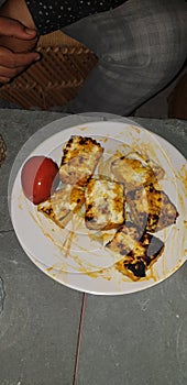 Panner tikka with cheese and burn tomato in white dish. Best indian Food