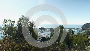 panning footage of the boats and yachts docked in the Dana Point Harbor with vast blue ocean water and lush green trees