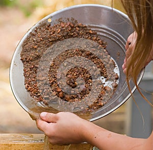Panning for gold 1