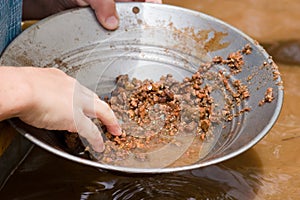 Panning for gold 2