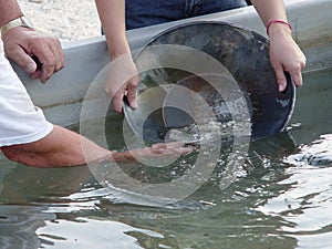 Panning for gold. photo