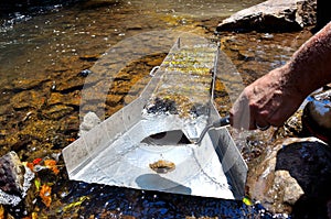 Panning for gold with a sluice box