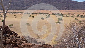 Panning on Marienfluss valley in Namibia, Africa.