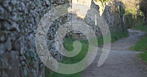 Panning of medieval stone wall with ivy vines