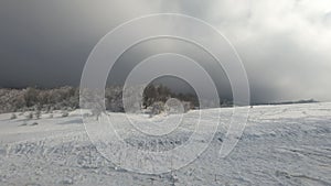 Panning over frozen forest in winter