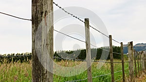 Panning shot of barbed wire fence with wooden posts in land