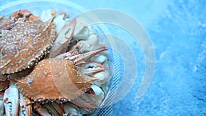 Panning shot of steamed crab in box on a blue background.