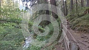 Panning to Creek Flowing Below Sol Duc Falls