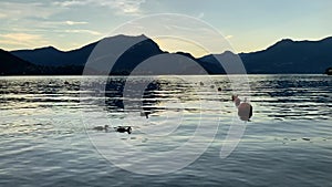 Panning video showing the amazing sunset over Lake Como on summertime