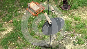 Panning view of a bird feeders equipped with squirrel baffle