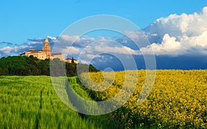 Pannonhalma Abbey with wheat and rapeseed field, Hungary