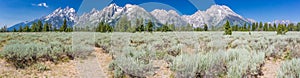 Pano of The Grand Teton National Park Mountain Range in Wyoming, USA. photo