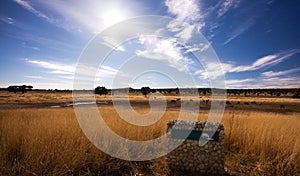 Pano landscape of watering hole in Kgalagadi