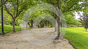 Pano Road lined with trees benches and lamp posts at a scenic park on a cloudy day