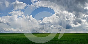 panoram of green field with picturescue sky with clouds at springtime , the concept of agriculture, planted wheat field