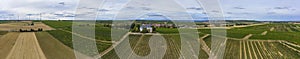 Panorama from above of the vineyards near Flonheim / Germany