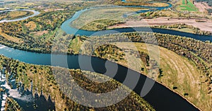 Panorama Aerial View Green Forest Woods And River Landscape In Sunny Spring Summer Day. Top View Of Nature, Bird's