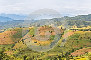 Panorama Aerial View of Pa Bong Piang terraced rice fields, Mae Chaem, Chiang Mai Thailand