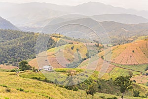 Panorama Aerial View of Pa Bong Piang terraced rice fields, Mae Chaem, Chiang Mai Thailand