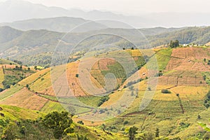 Panorama Aerial View of Pa Bong Piang terraced rice fields, Mae Chaem, Chiang Mai Thailand