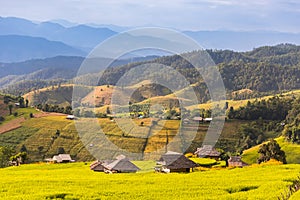 Panorama Aerial View of Pa Bong Piang terraced rice fields, Mae Chaem, Chiang Mai Thailand