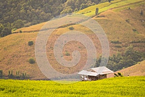 Panorama Aerial View of Pa Bong Piang terraced rice fields, Mae Chaem, Chiang Mai Thailand