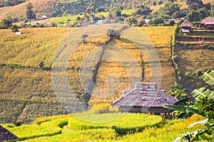 Panorama Aerial View of Pa Bong Piang terraced rice fields, Mae Chaem, Chiang Mai Thailand