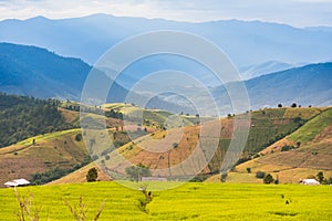 Panorama Aerial View of Pa Bong Piang terraced rice fields, Mae Chaem, Chiang Mai Thailand