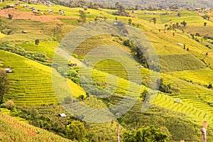 Panorama Aerial View of Pa Bong Piang terraced rice fields, Mae Chaem, Chiang Mai Thailand