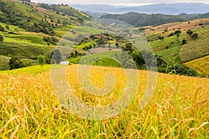 Panorama Aerial View of Pa Bong Piang terraced rice fields, Mae Chaem, Chiang Mai Thailand