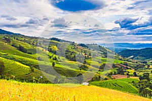 Panorama Aerial View of Pa Bong Piang terraced rice fields, Mae Chaem, Chiang Mai Thailand