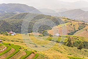 Panorama Aerial View of Pa Bong Piang terraced rice fields, Mae Chaem, Chiang Mai Thailand