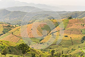 Panorama Aerial View of Pa Bong Piang terraced rice fields, Mae Chaem, Chiang Mai Thailand