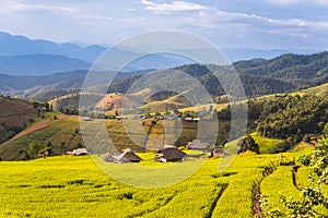 Panorama Aerial View of Pa Bong Piang terraced rice fields, Mae Chaem, Chiang Mai Thailand