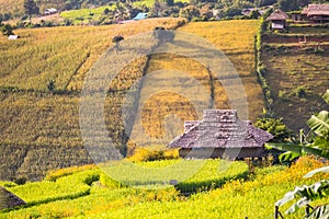 Panorama Aerial View of Pa Bong Piang terraced rice fields, Mae Chaem, Chiang Mai Thailand