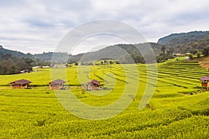 Panorama Aerial View of Pa Bong Piang terraced rice fields, Mae Chaem, Chiang Mai Thailand