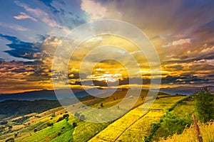 Panorama Aerial View of Pa Bong Piang terraced rice fields at sun set time, Mae Chaem, Chiang Mai Thailand