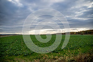 Panorama of an Agra field in autumn with cloudy skies and breaking sun rays