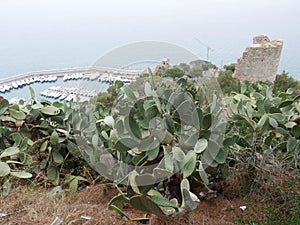 Panorama of Alassio