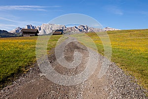 Panorama of Alpe di Siusi at summer