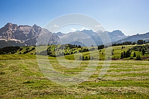 Panorama of alto adige region in northern italy on summer