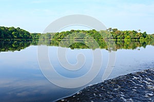 Panorama from Amazon rainforest, Brazilian wetland region