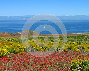Panorama, Anacapa Island