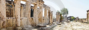 Panorama from the Arch of Domitian