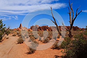 Panorama from Arches National Park, Utah. USA