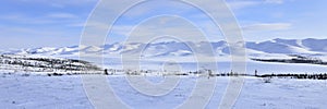 Panorama Arctic landscape photo